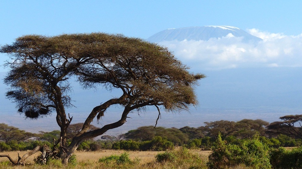 “Win-win” climate solutions for Ethiopia and Kenya to benefit people and the environment